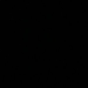 Meet your Posher, Fabian